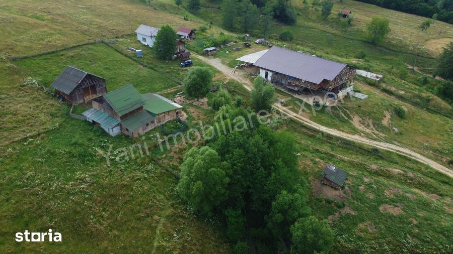 Teren de 55422 mp, în Bughea de Jos