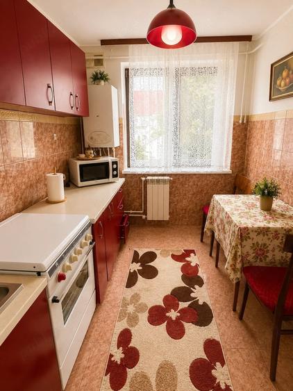 Apartament 2 camere de inchiriat, Ultracentral Aleea Ion Gramada - 5