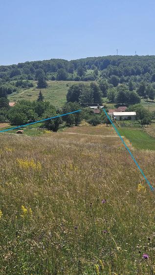 Casă cu Teren 8000 Mp în Zece Hotare