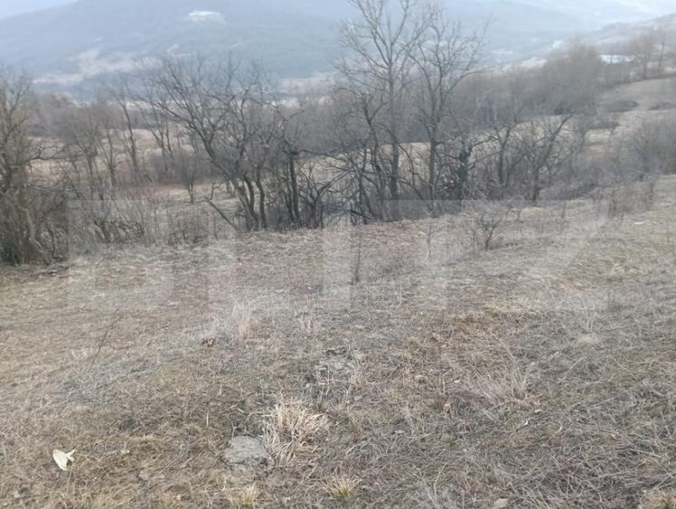 Teren intravilan 4300 mp apa si curent In Ampoita - 1