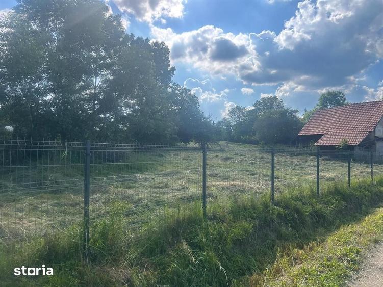Casa de vanzare l Dangau Mare l 3135 MP Teren - 17