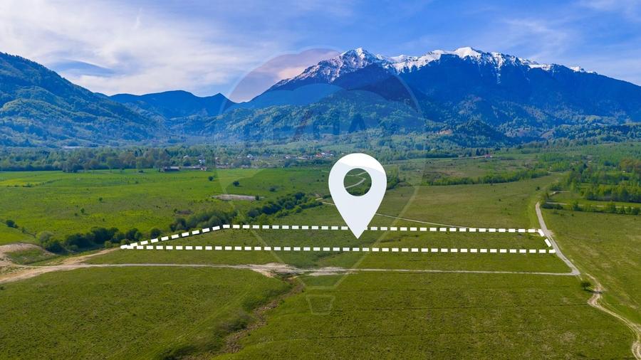 Teren agricol extravilan de 13800 mp, în Glăjărie