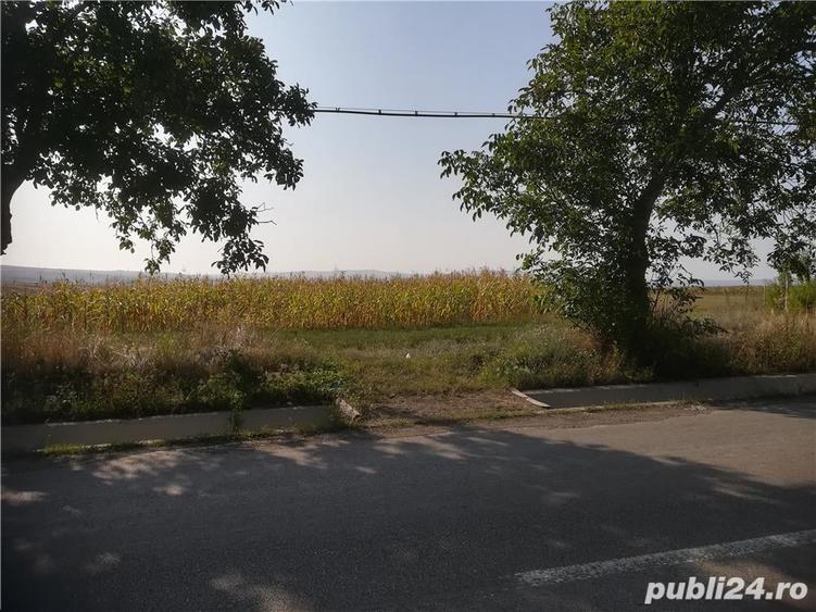 Teren de 5000 mp, în Cristești