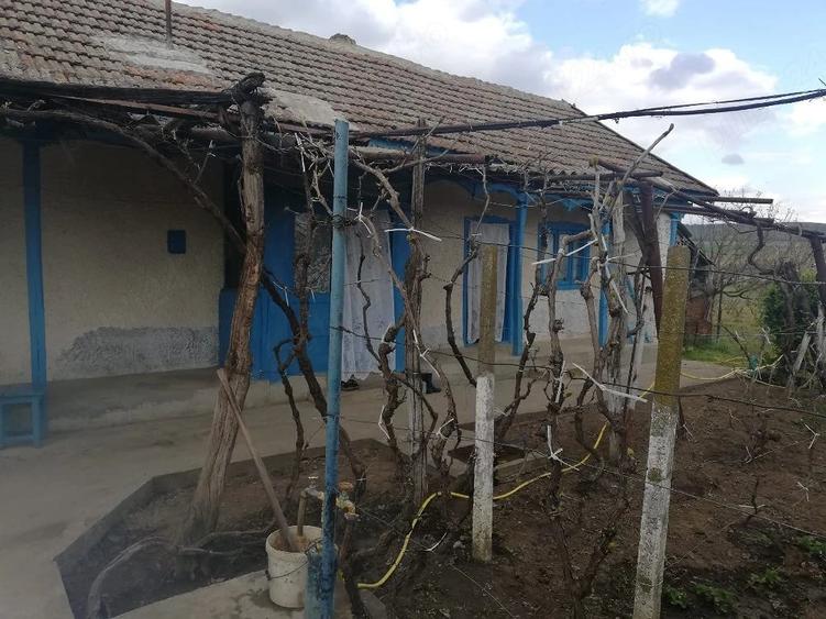 Casă cu 3 camere cu Teren 2500 Mp în Balabancea