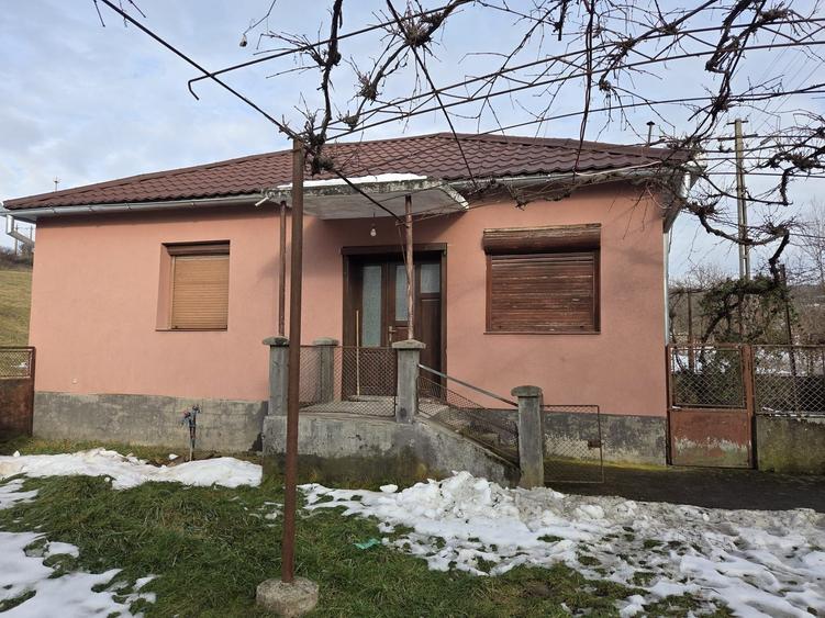 Casă cu 4 camere în Valea Crișului