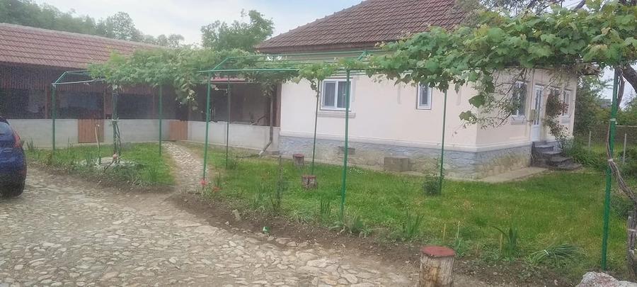 Teren de 6800 mp, în Polovragi