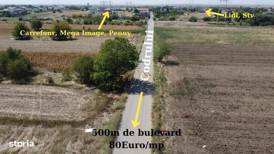 Teren intrare comuna Berceni, Codrului, 430 mp - 4