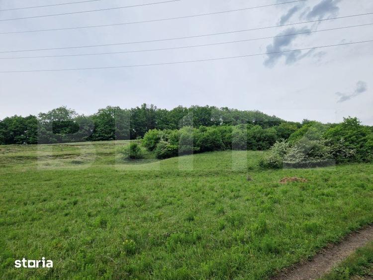 Teren de 15000 mp, în Sava
