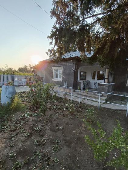 vand casa - 3