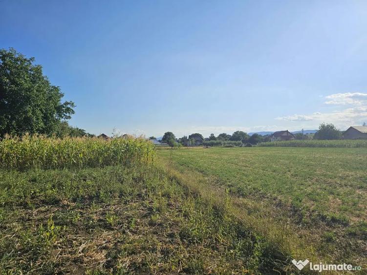 Teren de 4300 mp, în Humulești