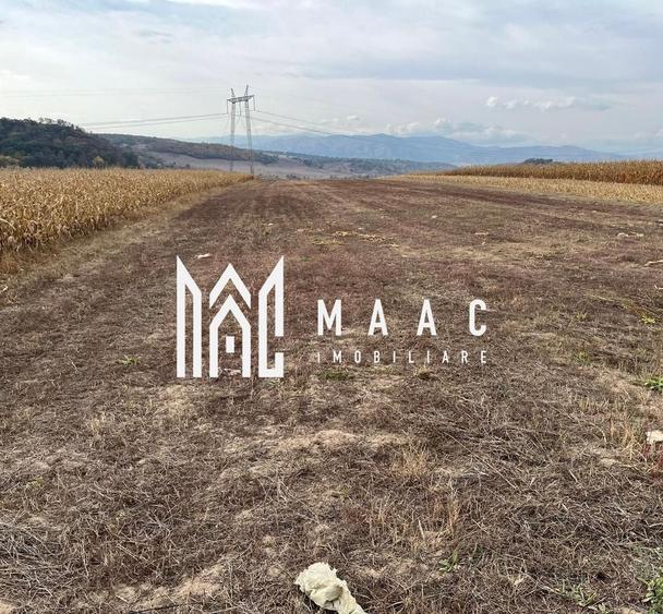 Teren agricol extravilan de 8000 mp, în Daia