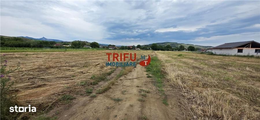 Teren de 1374 mp, în Șard