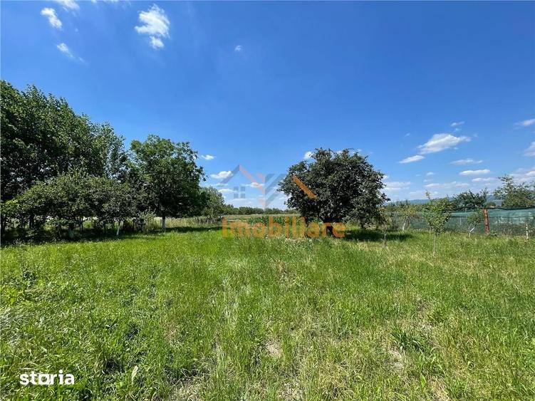 Casă cu 5 camere cu Teren 6770 Mp în Măgești