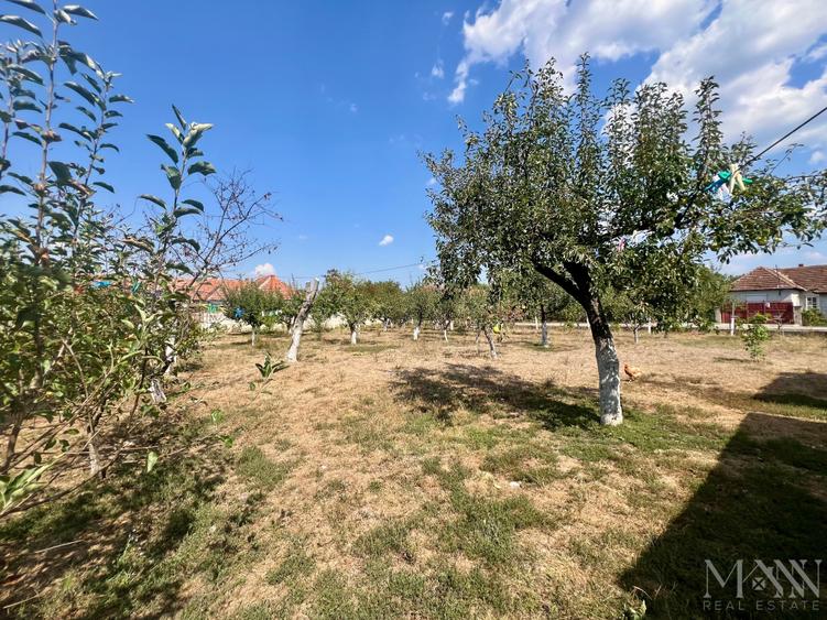 Teren agricol intravilan de 1000 mp, în Tileagd