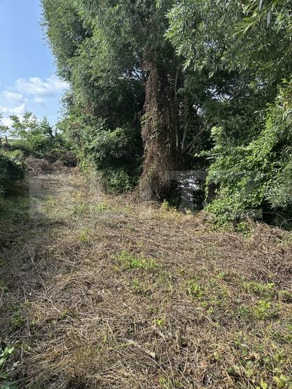 Teren Construcții intravilan de 942 mp, în Sud