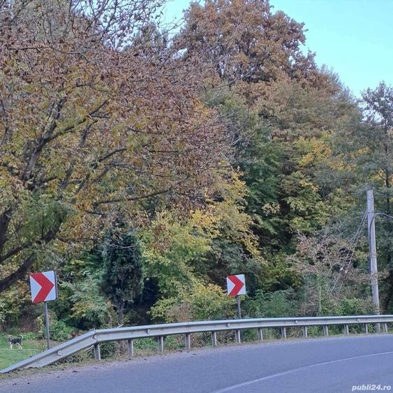 Teren de 10000 mp, în Central