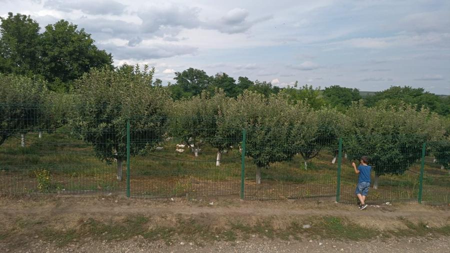 Spațiu comercial, în Dorohoi