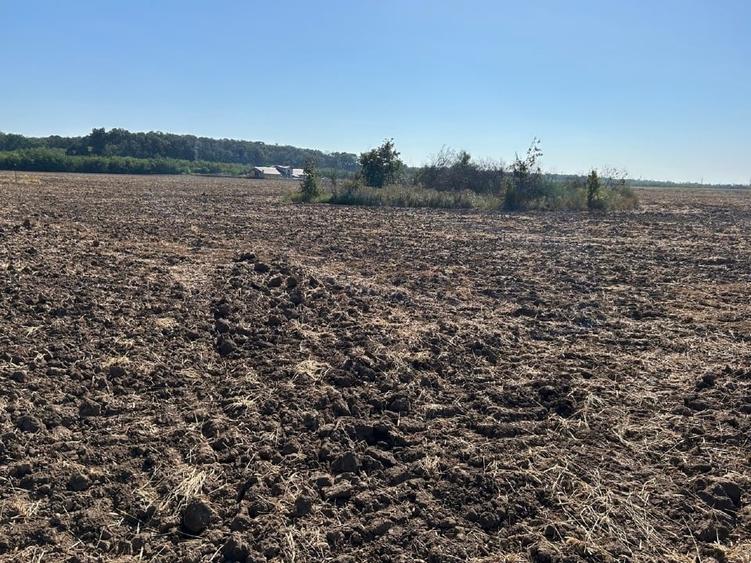 Teren Construcții extravilan de 689 mp, în Săbăreni