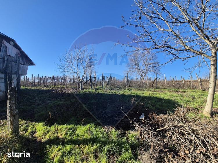 Casă cu 4 camere cu Teren 4700 Mp în Parincea