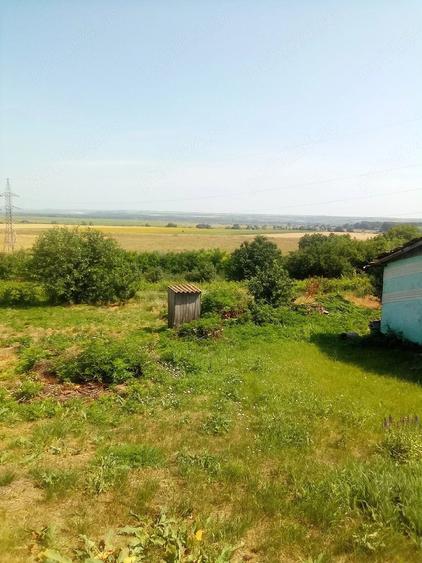 Casă cu Teren 8000 Mp în Gorban
