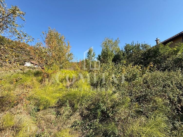 Teren Construcții intravilan de 1490 mp, în Făget