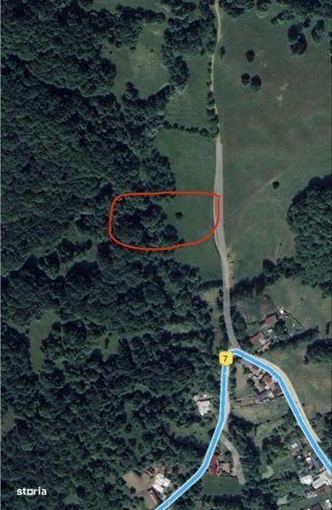Teren de 5000 mp, în Vișinești