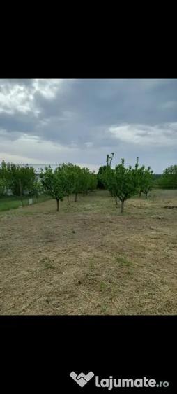 Casă cu 3 camere în Central