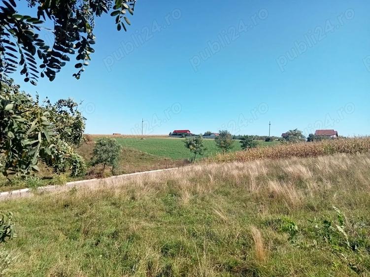 Teren de 1800 mp, în Văculești