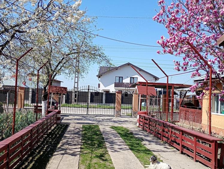 Casă cu 5 camere cu Teren 742 Mp în Brătășanca