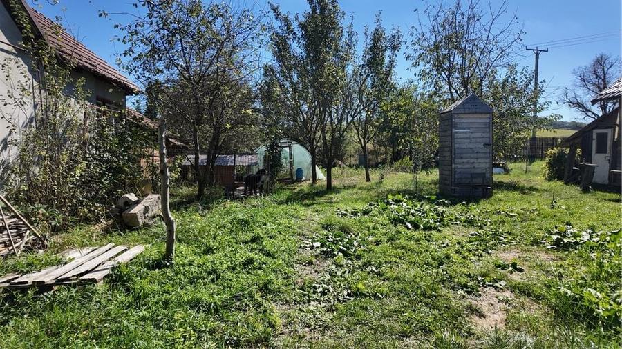 Casă cu 3 camere în Central