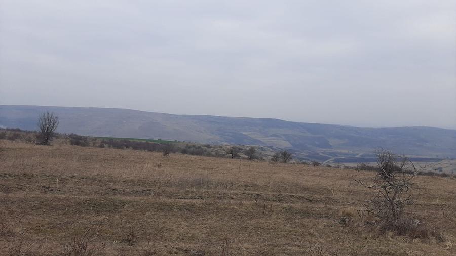 Teren agricol extravilan de 119500 mp, în Iris