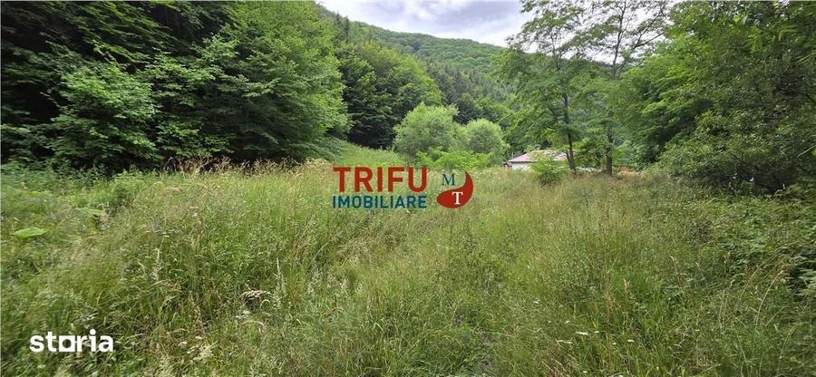 Teren de 4574 mp, în Poiana Galdei