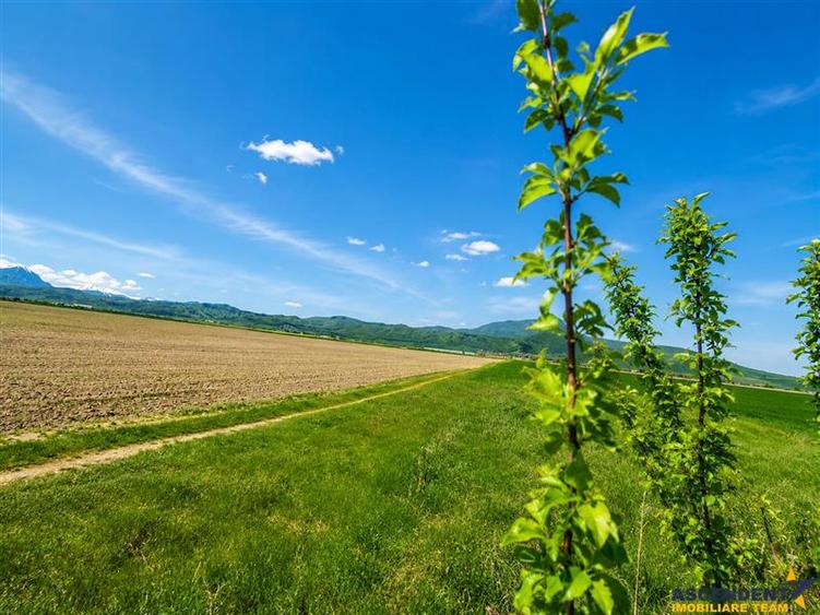 Teren agricol intravilan de 47.576999664307 mp, în Central
