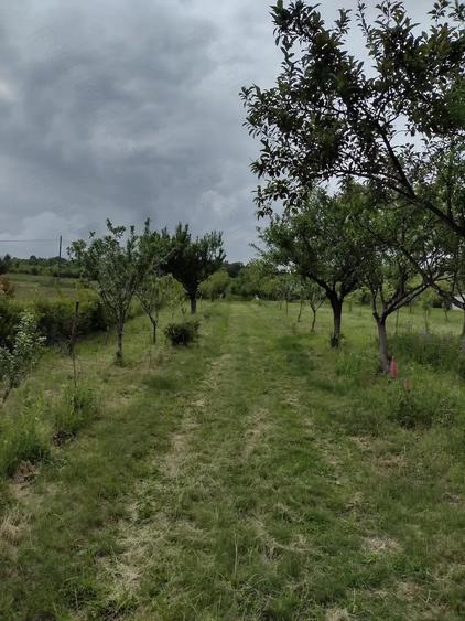 Teren de 4000 mp, în Pietroasa