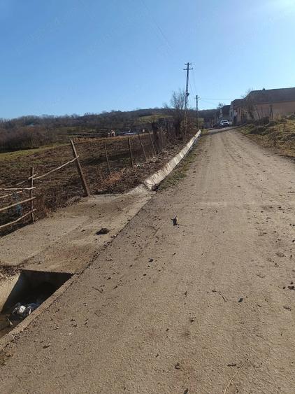 Teren în Armeni