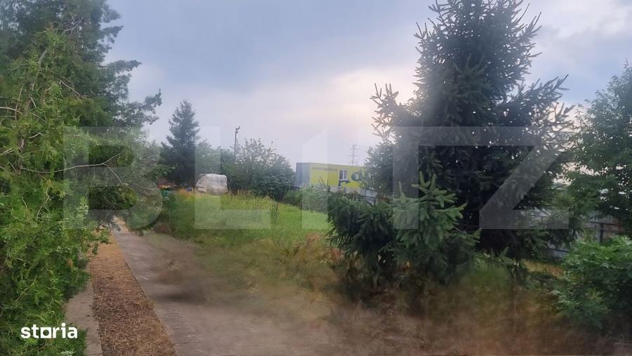 Spațiu comercial, în Zahanaua