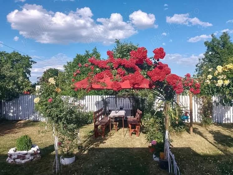 Casă cu 4 camere cu Teren 2300 Mp în Central