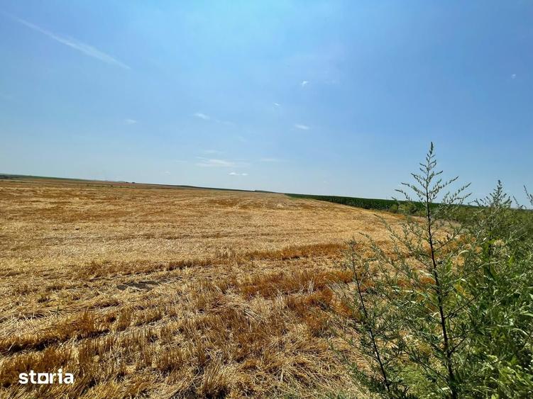 Teren de 1030000 mp, în Biled