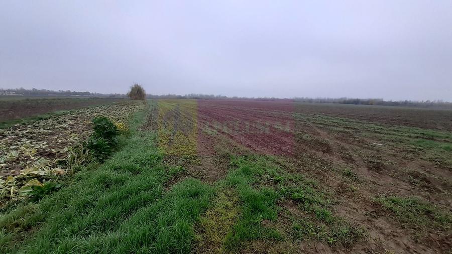 Teren Construcții intravilan de 2250 mp, în 1 Decembrie