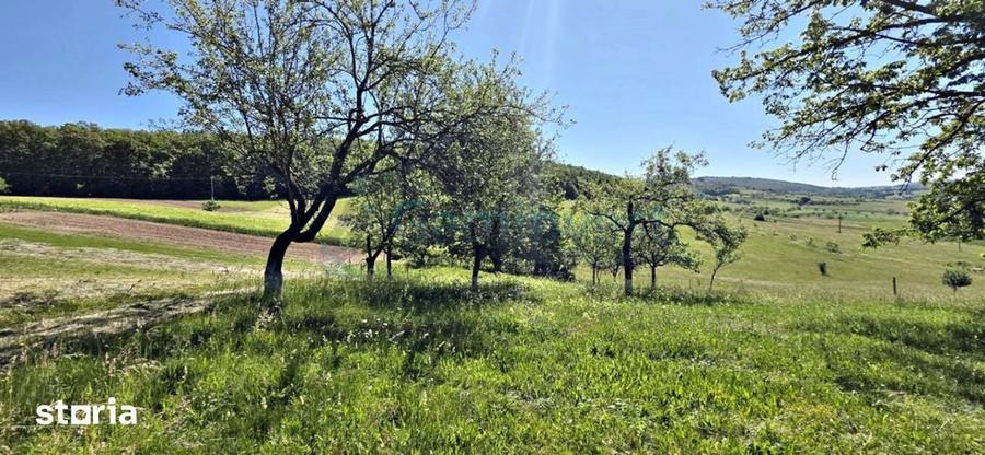 Casă cu 4 camere cu Teren 2670 Mp în Vârciorog