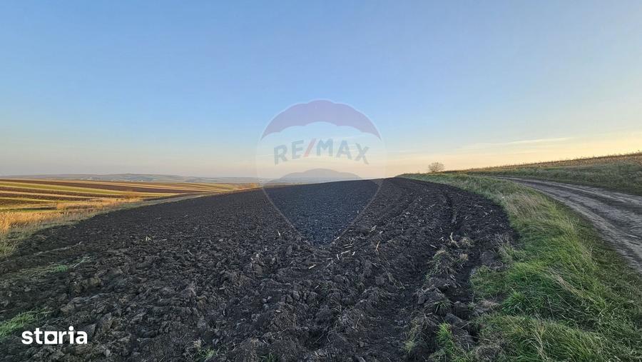 Teren extravilan 30077mp Stroiesti / Soseaua DN17, Suceava - 2