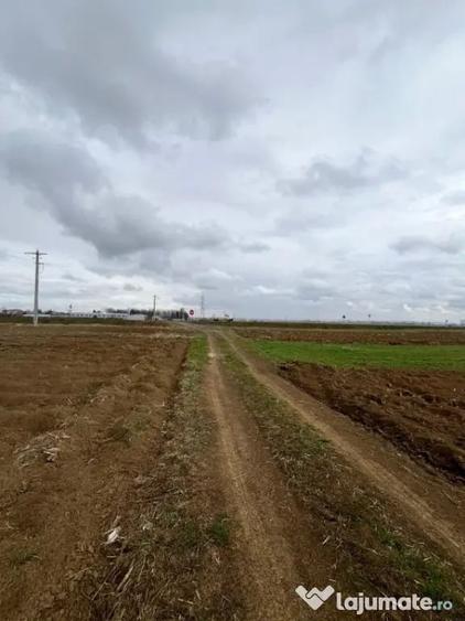 Teren de 2500 mp, în Horodnic