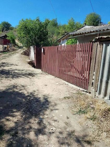 Direct proprietar - 4