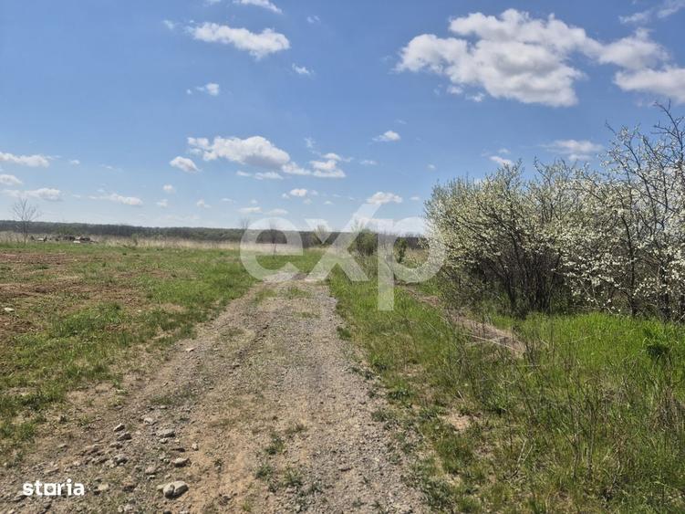 Casă cu 3 camere în Albota