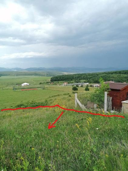 Teren de 3600 mp, în Ciurila