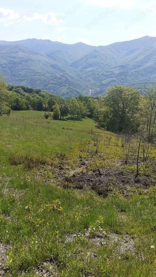 Teren în Cornereva