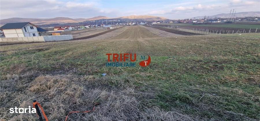 Teren de 1453 mp, în Bărăbanț