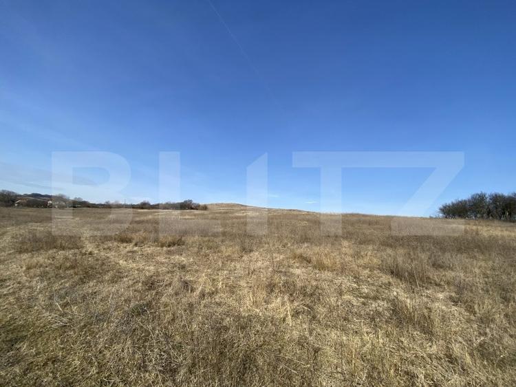 Teren agricol extravilan de 140551 mp, în Recea