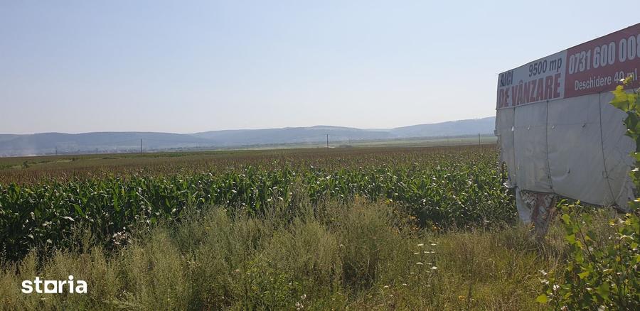 Teren de 9500 mp, în Nicolae Bălcescu
