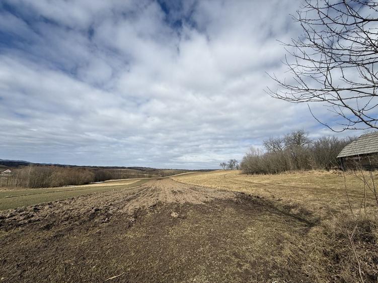 Teren Construcții intravilan de 1556 mp, în Horodnic de Jos